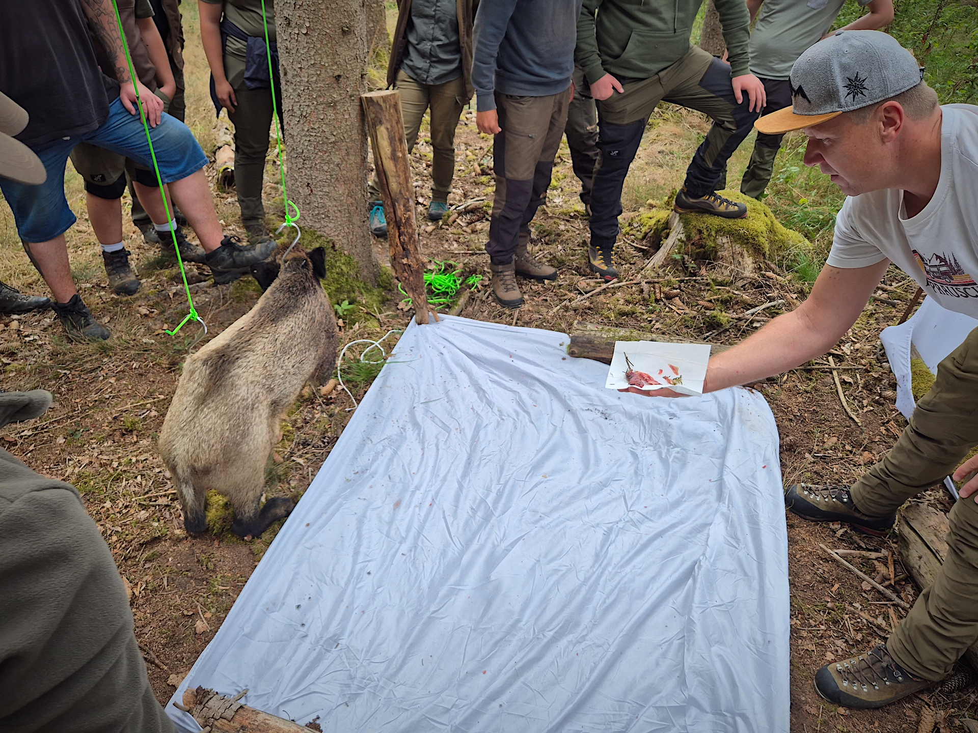 Gruppierung von Menschen in einem Wald, die ein Tier beobachten, während eine Person ein Foto zeigt.