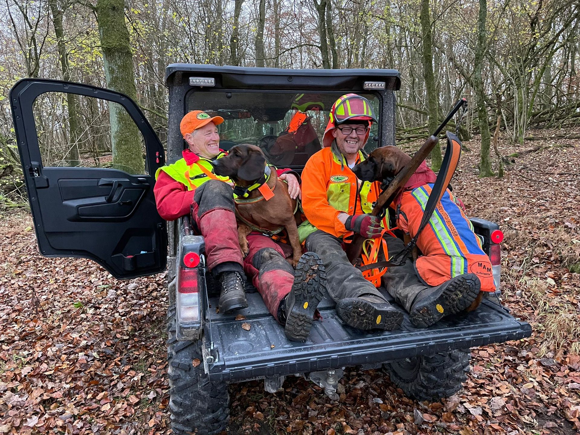 Zwei Männer in orangenen und reflektierenden Outfits sitzen mit Hunden auf dem Heck eines Geländefahrzeugs im Wald.