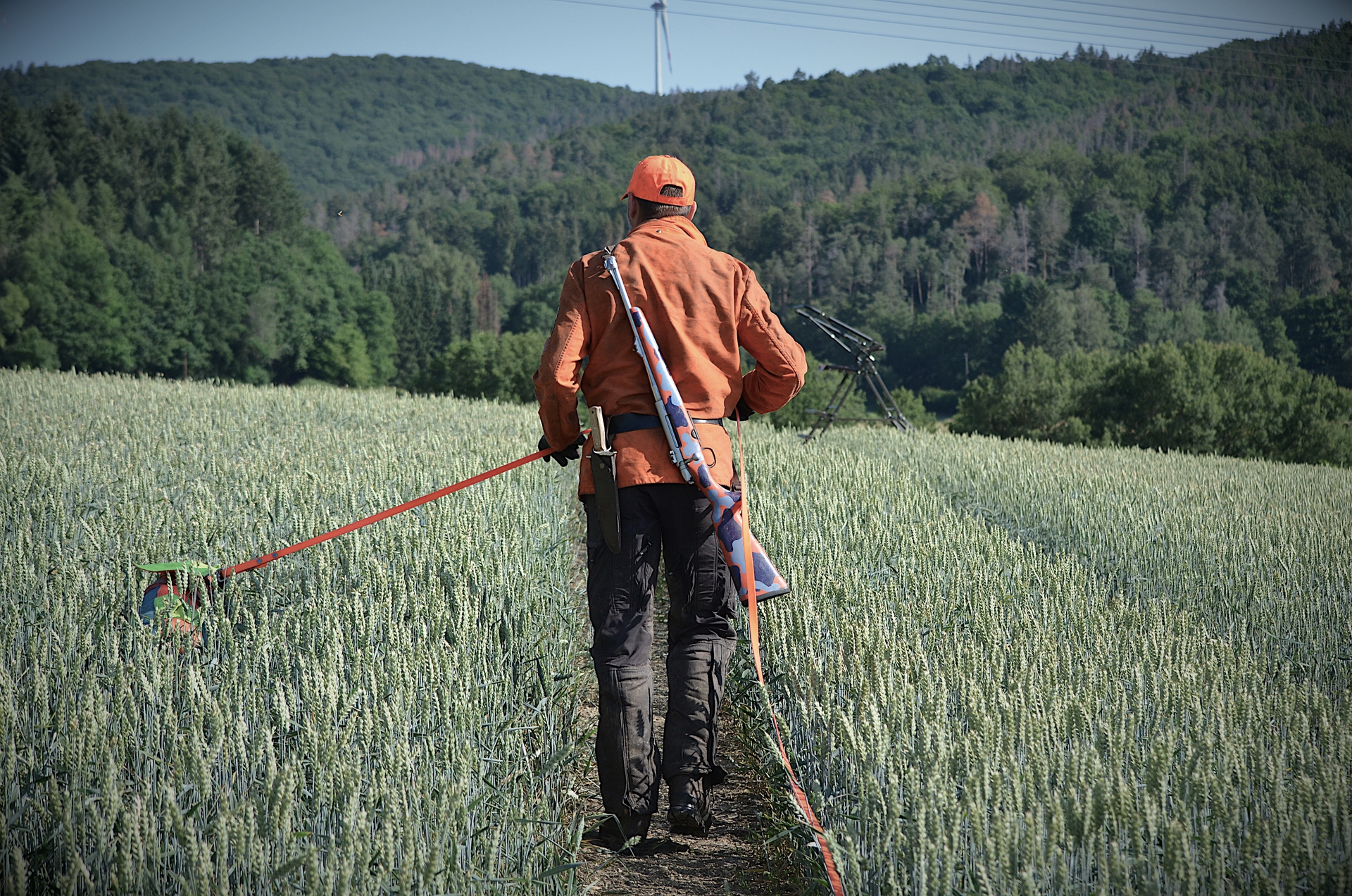 Eine Person mit orangefarbenem Hut und Jacke geht durch ein Feld, während sie ein Gerät zum Mähen führt.