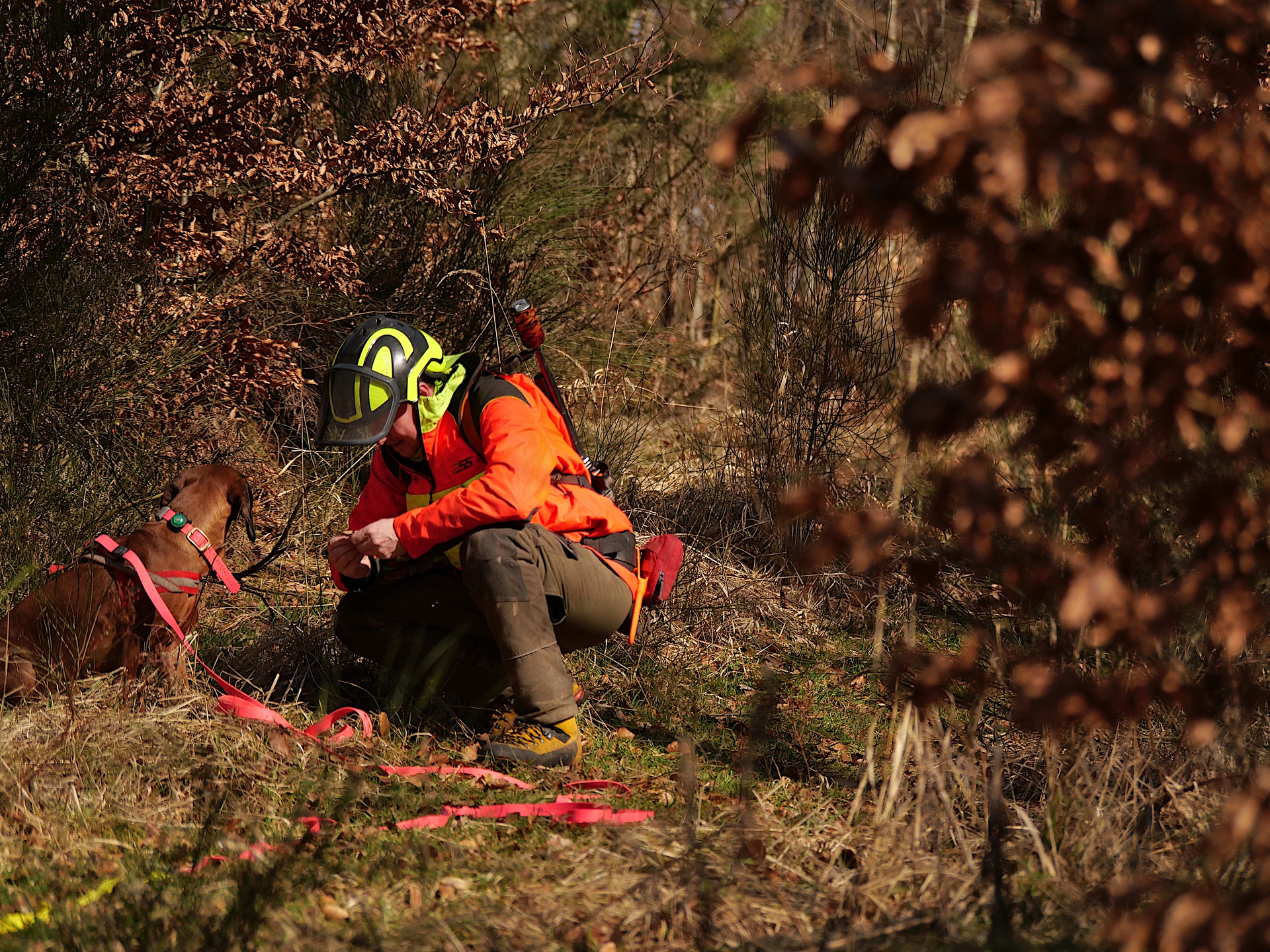 Ein Waldbesucher in orangefarbener Kleidung kniet neben einem Hund mit Geschirr und redet mit ihm.