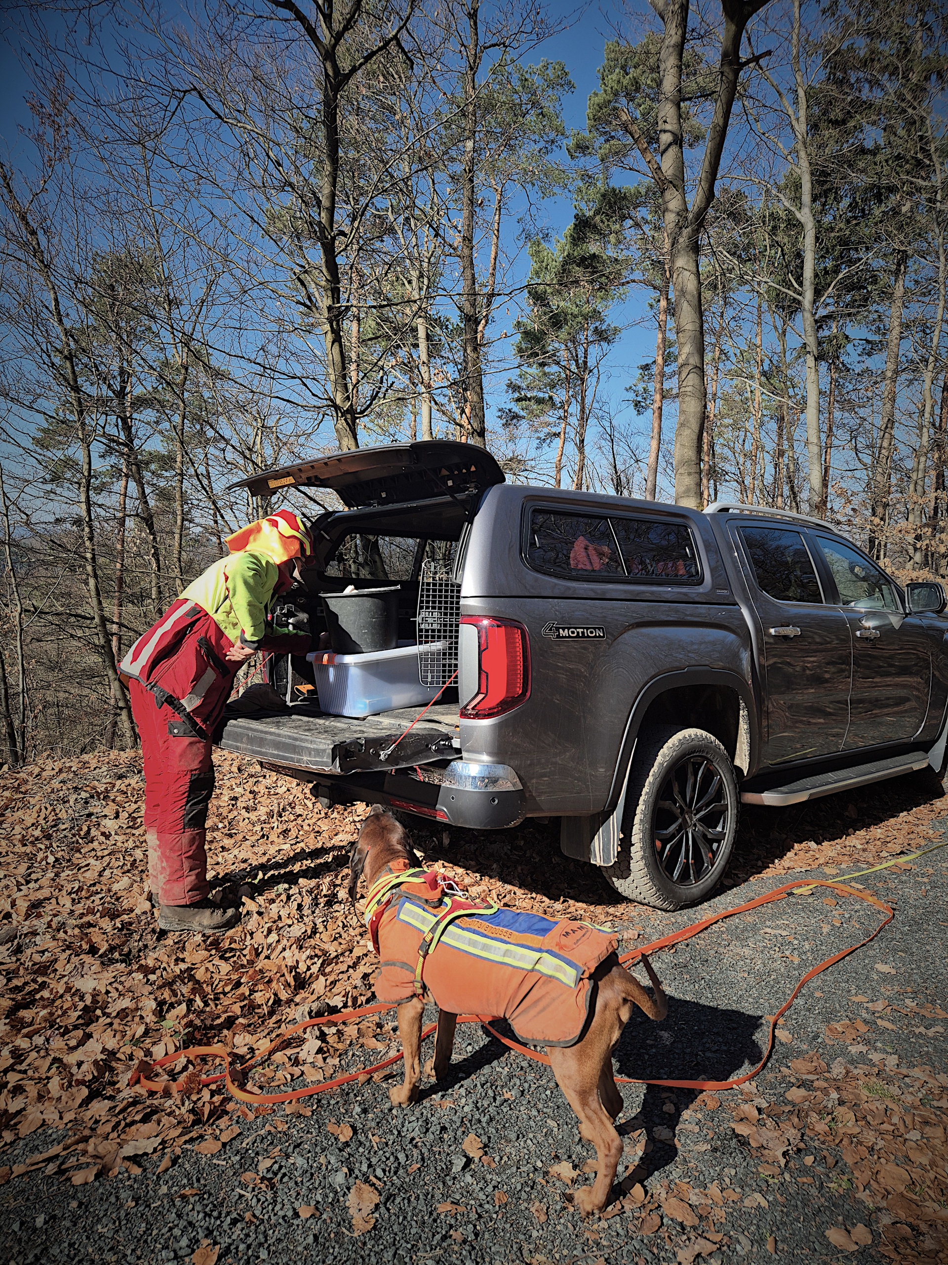 Ein Mensch im auffälligen Outfit packt den Kofferraum eines Autos, während ein Hund in einem bunten Geschirr zuschaut.