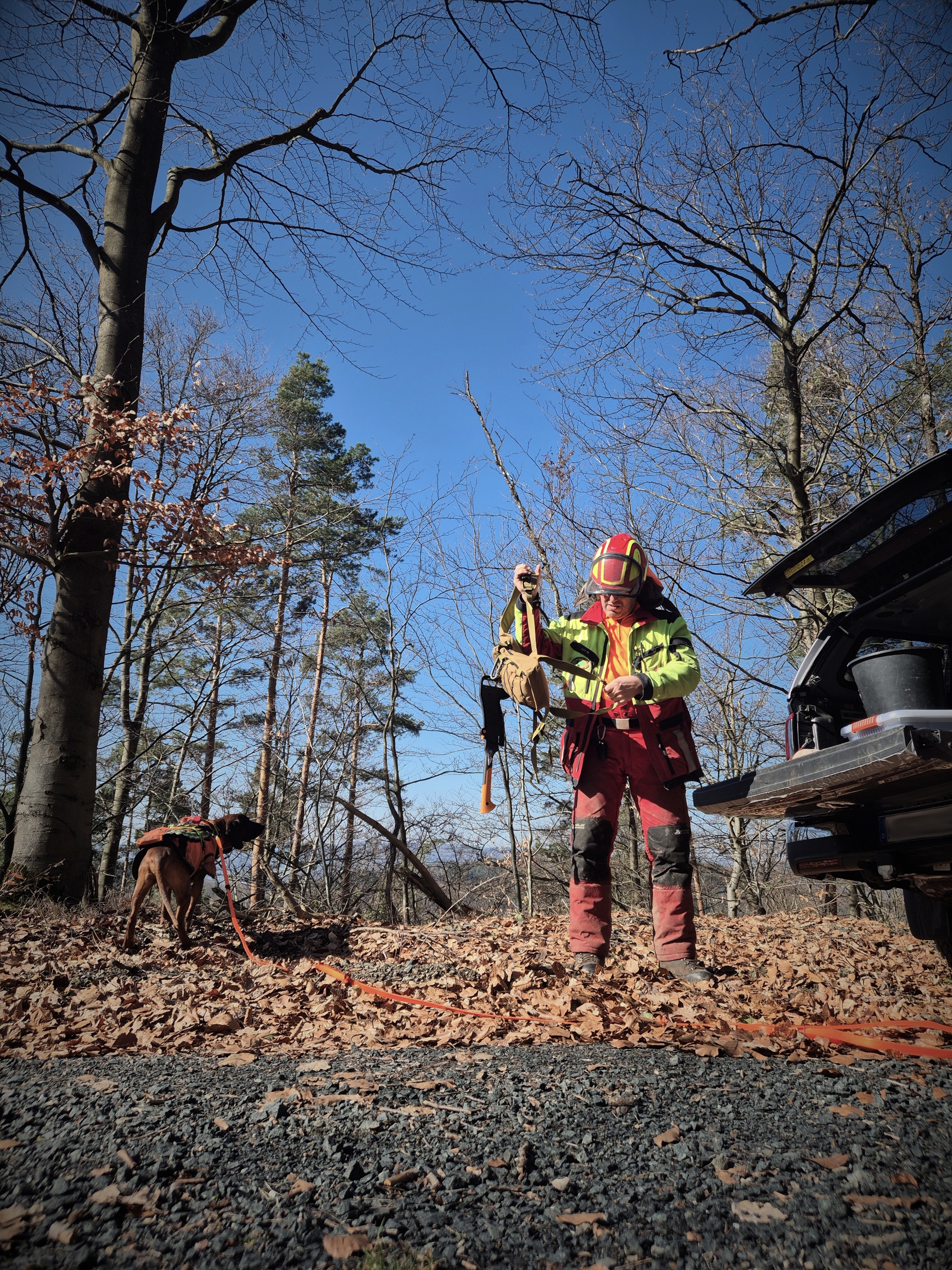 Ein Mensch in Arbeitskleidung hält eine Ausrüstung in einer waldreichen Umgebung, während ein Hund in der Nähe schnüf...