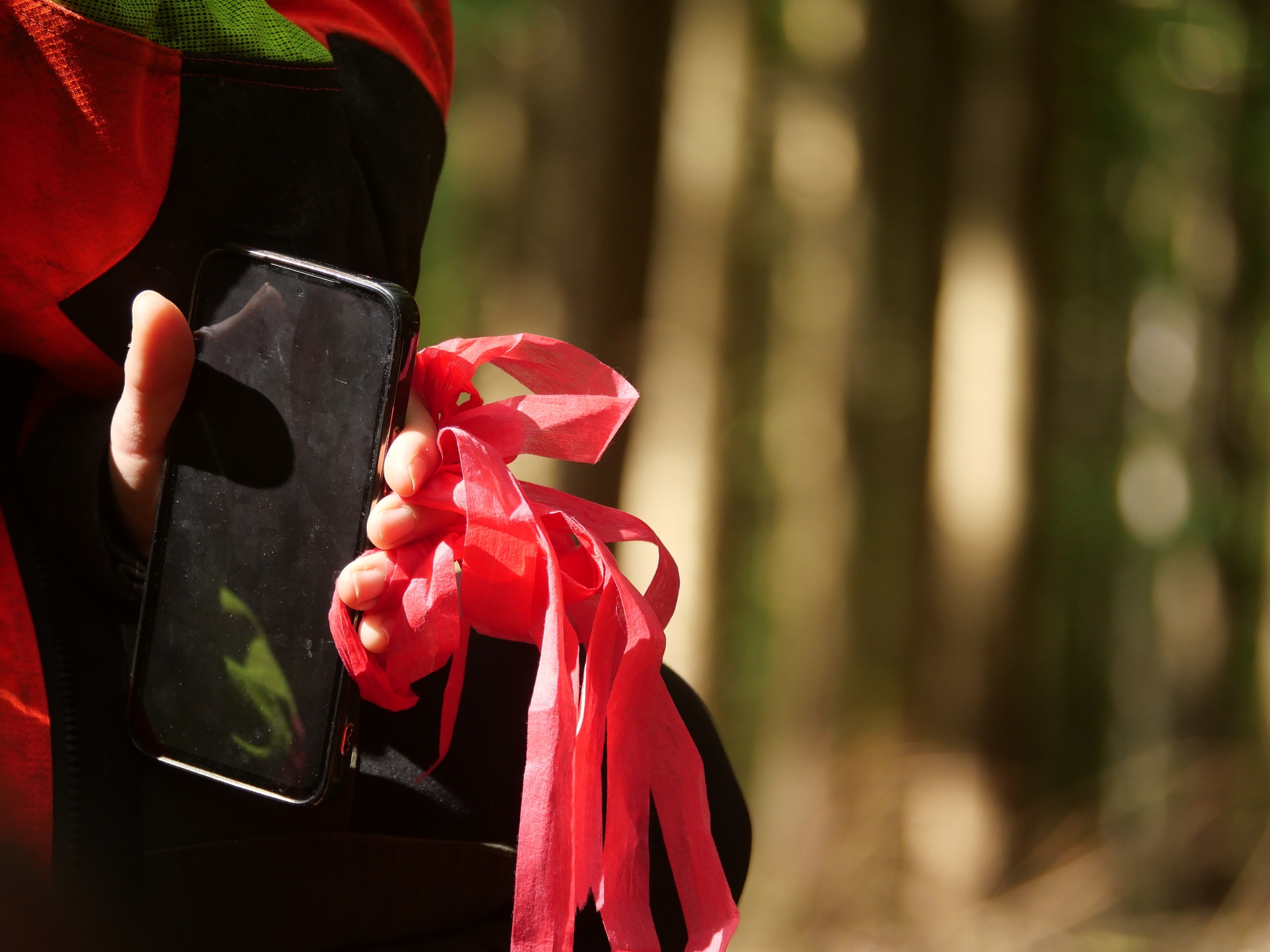 Eine Hand hält ein Smartphone und rosa Bänder in einem Wald. Helle, unscharfe Baumstämme im Hintergrund.
